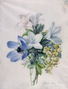 Anemone, glicine e maggiociondolo